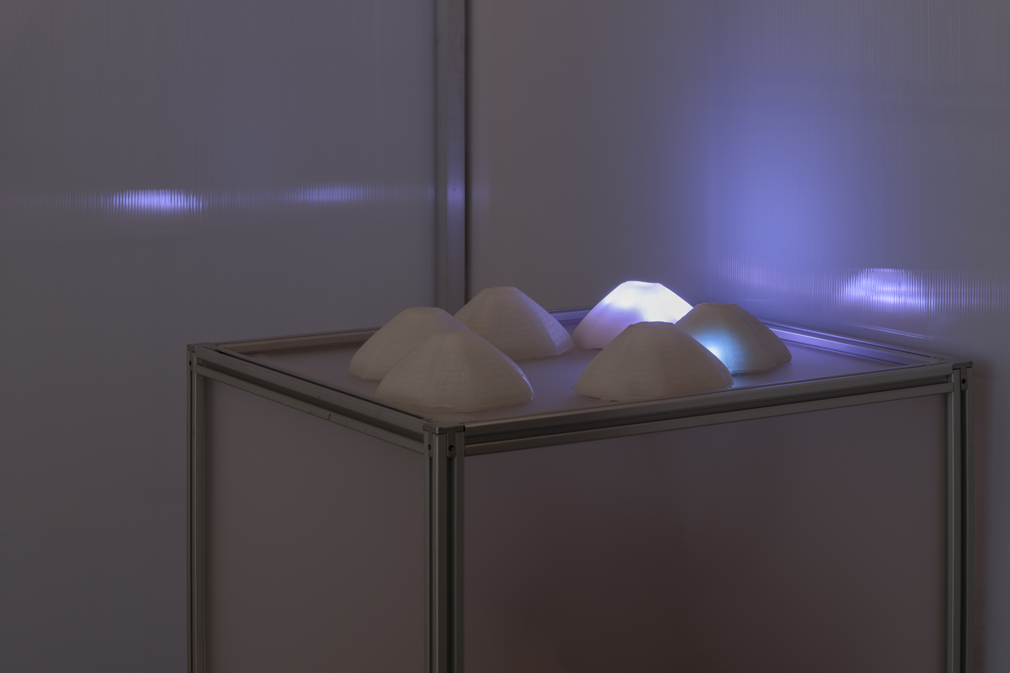 Murmuroids Gallery View 1