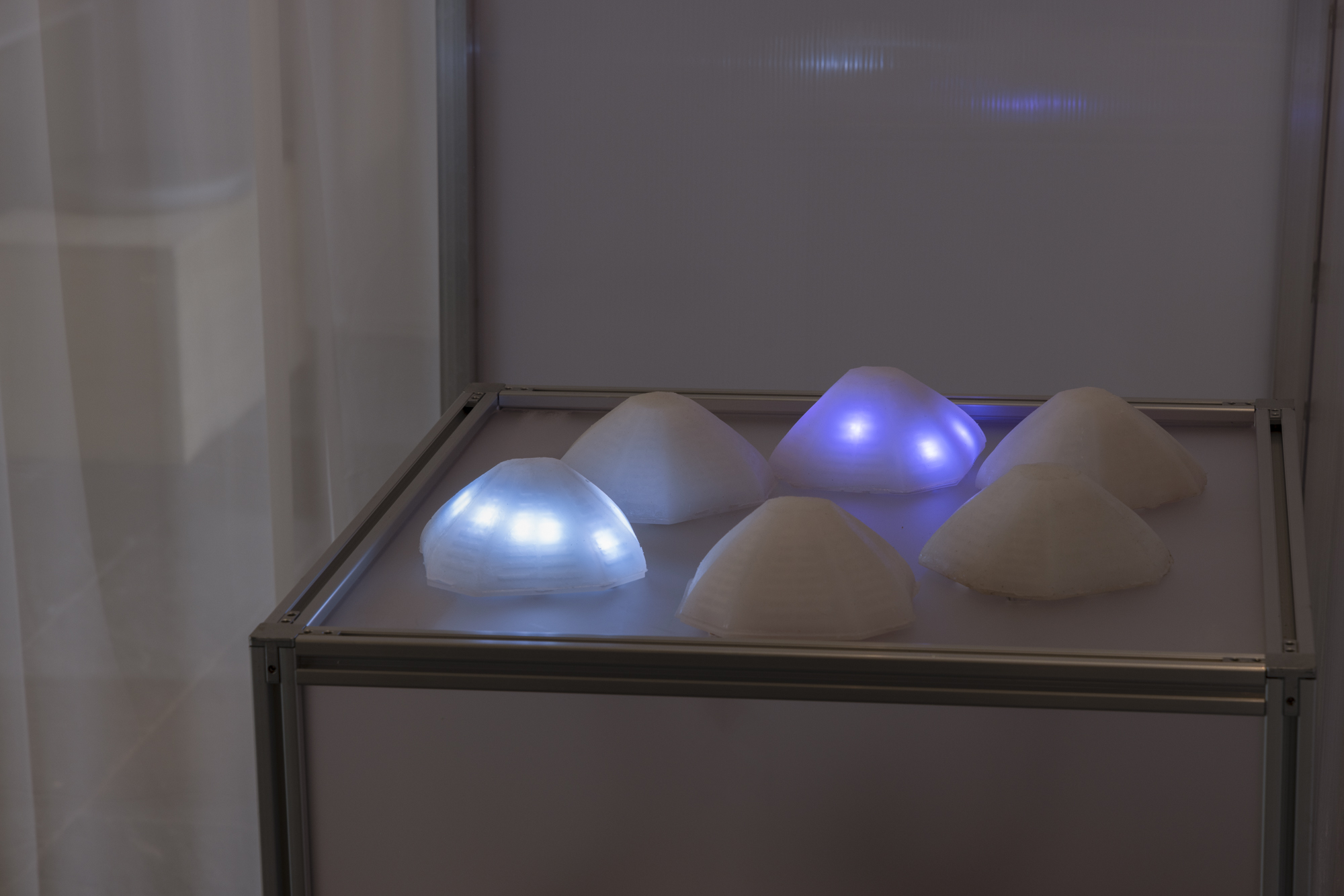 Murmuroids Gallery View 2